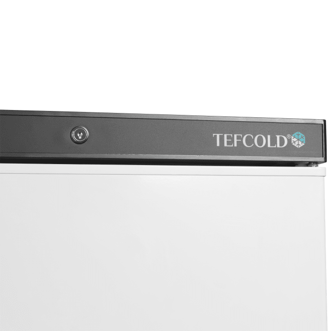 Congélateur de stockage TEFCOLD UF400