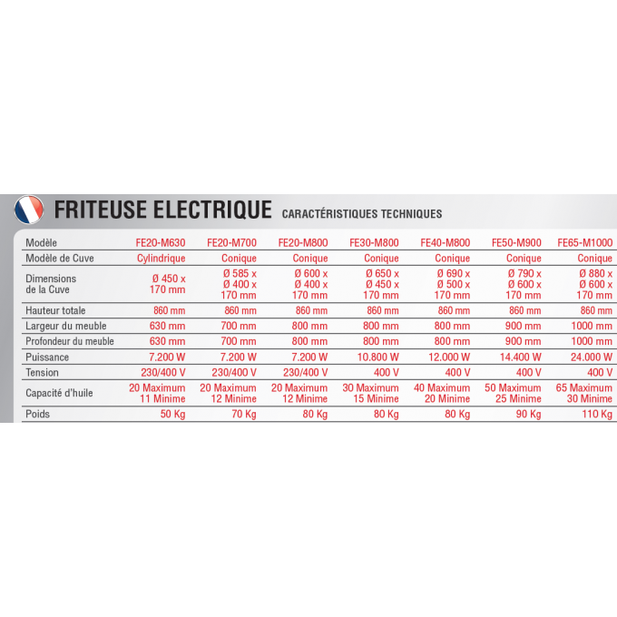 Friteuse électrique de 30 litres